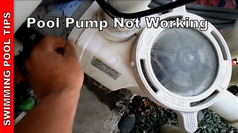 swimming pool pump not working